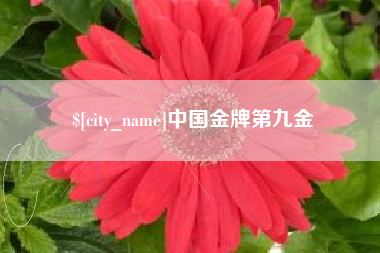 呼和浩特中国金牌第九金