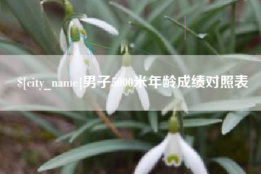呼和浩特男子5000米年龄成绩对照表