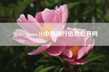 呼和浩特1.中国执行信息公开网