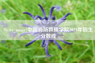 呼和浩特中国消防救援学院2024年招生分数线