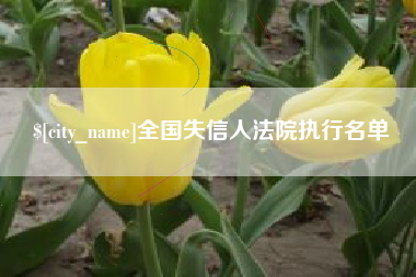 呼和浩特全国失信人法院执行名单