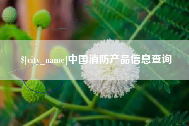 呼和浩特中国消防产品信息查询