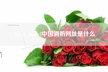 呼和浩特中国消防网址是什么