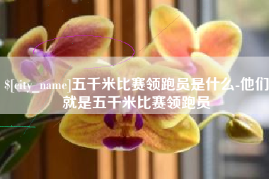 呼和浩特五千米比赛领跑员是什么-他们就是五千米比赛领跑员