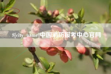 呼和浩特中国消防报考中心官网
