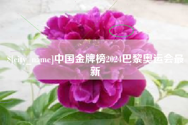 呼和浩特中国金牌榜2024巴黎奥运会最新