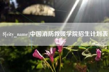 呼和浩特中国消防救援学院招生计划表