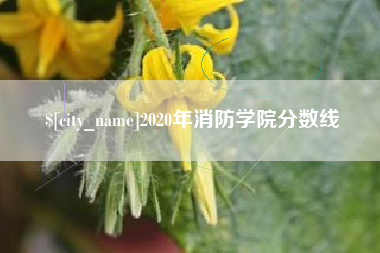 呼和浩特2020年消防学院分数线