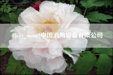 呼和浩特中国消防设备有限公司