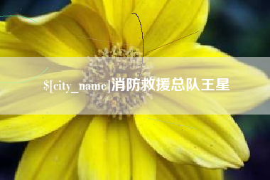 呼和浩特消防救援总队王星