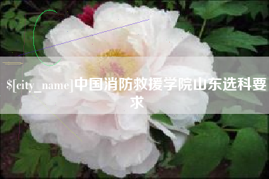 呼和浩特中国消防救援学院山东选科要求