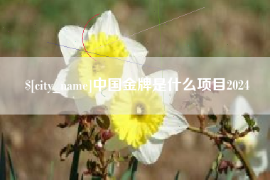 呼和浩特中国金牌是什么项目2024