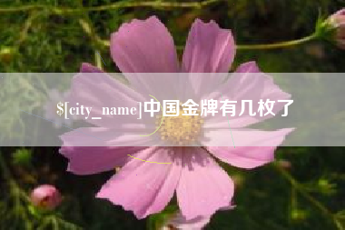 呼和浩特中国金牌有几枚了