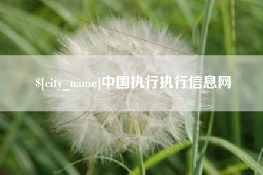 呼和浩特中国执行执行信息网
