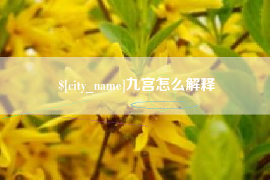 呼和浩特九宫怎么解释