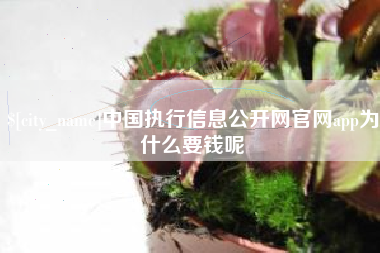 呼和浩特中国执行信息公开网官网app为什么要钱呢
