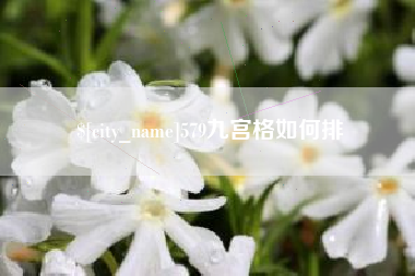 呼和浩特579九宫格如何排