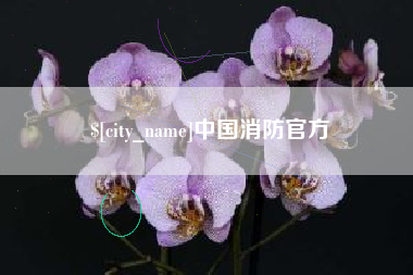 呼和浩特中国消防官方