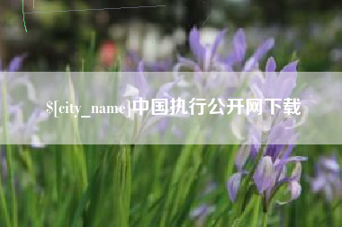 呼和浩特中国执行公开网下载