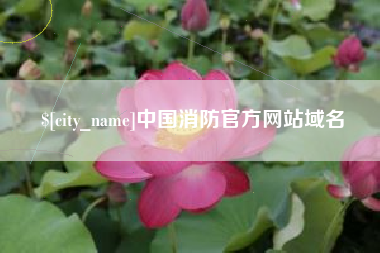 呼和浩特中国消防官方网站域名