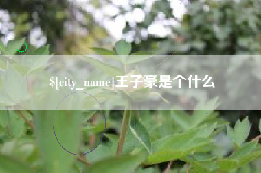 呼和浩特王子豪是个什么