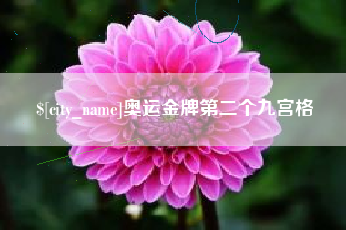 呼和浩特奥运金牌第二个九宫格