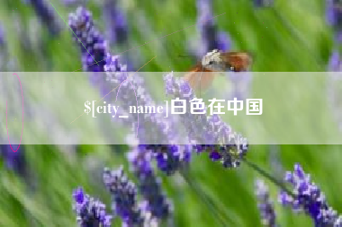 呼和浩特白色在中国