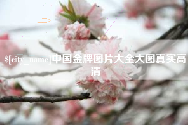 呼和浩特中国金牌图片大全大图真实高清