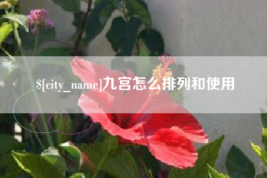 呼和浩特九宫怎么排列和使用