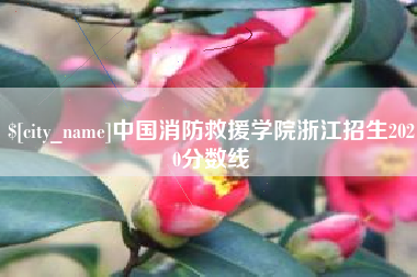 呼和浩特中国消防救援学院浙江招生2020分数线