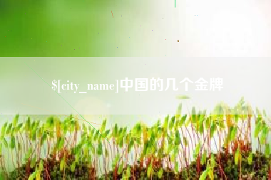 呼和浩特中国的几个金牌