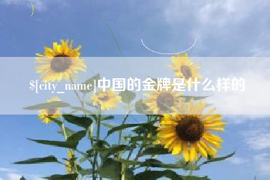 呼和浩特中国的金牌是什么样的