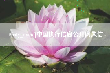 呼和浩特中国执行信息公开网失信