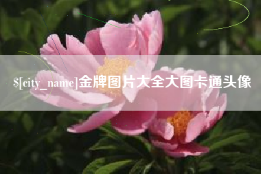 呼和浩特金牌图片大全大图卡通头像