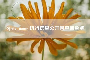 呼和浩特执行信息公开网查询免费