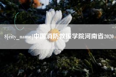 呼和浩特中国消防救援学院河南省2020